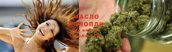 ECSTASY Богданович