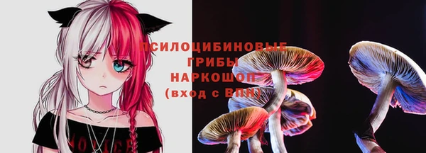ECSTASY Богданович