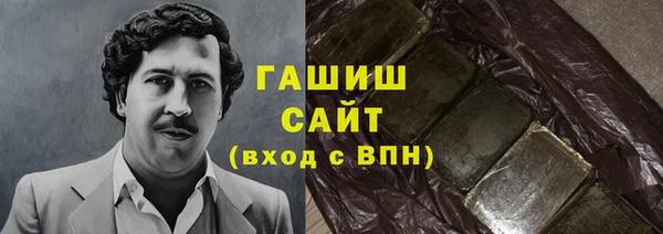 ECSTASY Богданович