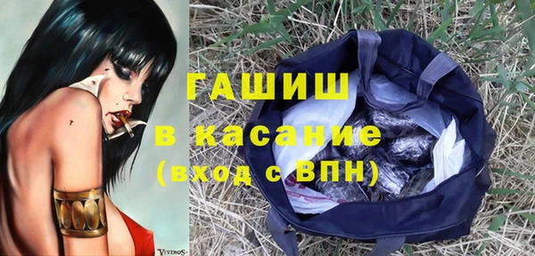 ECSTASY Богданович