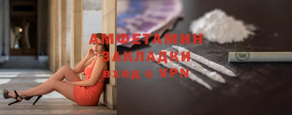 ECSTASY Богданович