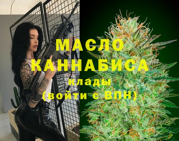 ECSTASY Богданович
