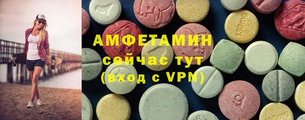 ECSTASY Богданович