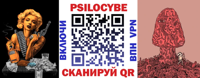 Псилоцибиновые грибы Psilocybe  наркота  Долгопрудный 