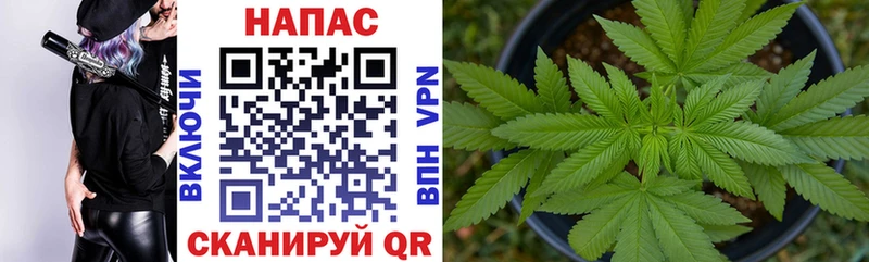 shop формула  закладки  Долгопрудный  Каннабис Bruce Banner 